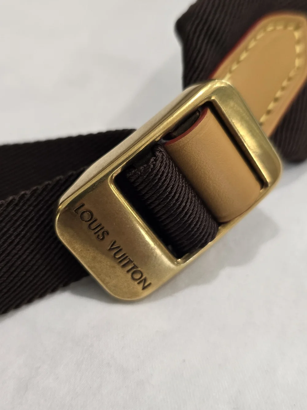Louis Vuitton Brown & Tan Monogram Backpack